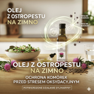 Zrzut ekranu 2026-05-27 o 21.00.05